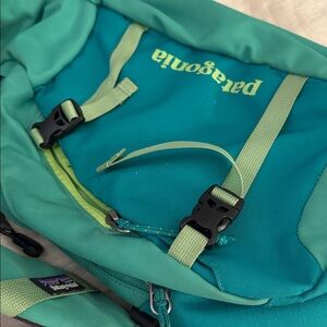 Patagonia Teal and Light Green Crossbody Bag